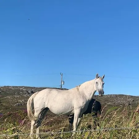 Mary's Seaview Clifden Semesterbostad *